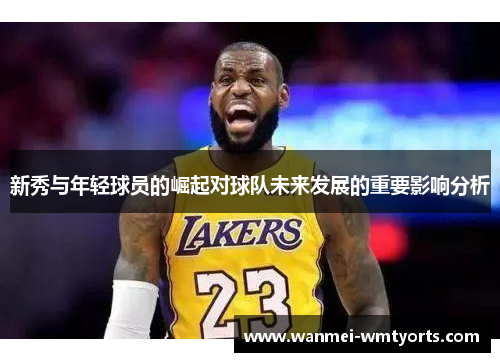 新秀与年轻球员的崛起对球队未来发展的重要影响分析