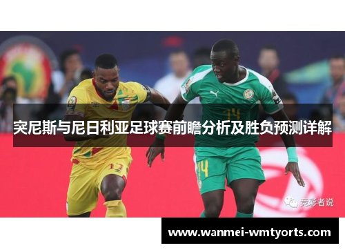 突尼斯与尼日利亚足球赛前瞻分析及胜负预测详解