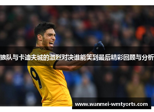 狼队与卡迪夫城的激烈对决谁能笑到最后精彩回顾与分析